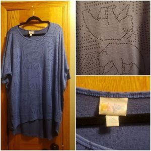2xl Bear constellation Irma EUC